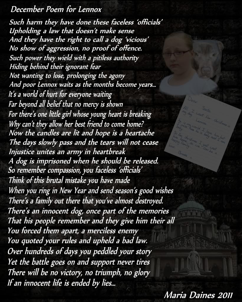 December Poem For Lennox By Maria Daines